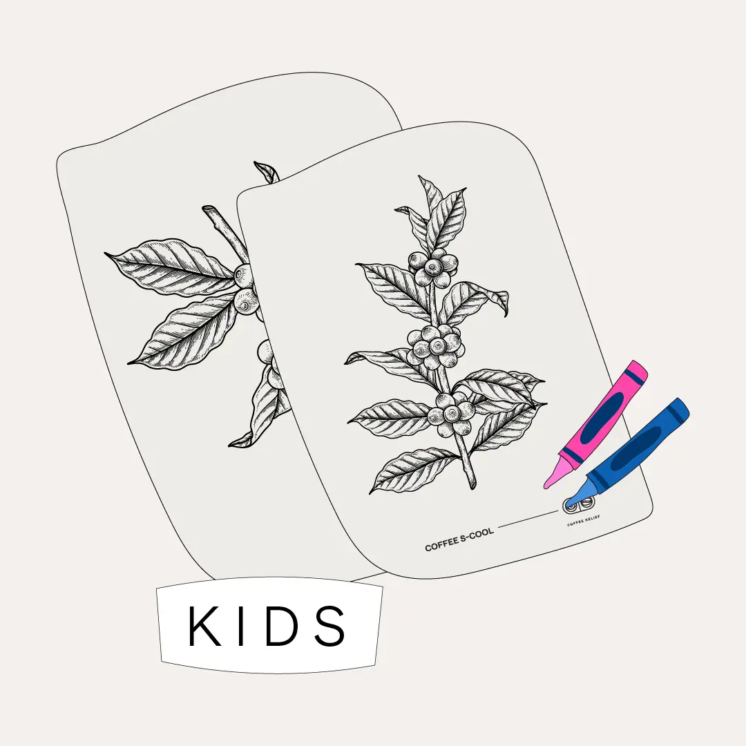 INSUMOSArtboard 7-100 Hojas para colorear